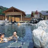 信州平谷温泉 ひまわりの湯の詳細情報