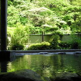 箱根七湯　底倉温泉 そこくらの湯つたやの詳細情報