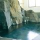 諏訪峡温泉 温泉センター 諏訪の湯を見る
