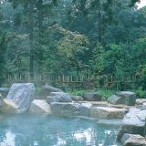 昭和温泉 昭和の湯の詳細情報
