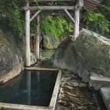 福渡温泉 岩の湯の詳細情報