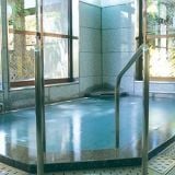 越後湯沢温泉 神泉の湯の詳細情報