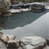 栃尾温泉 荒神の湯の詳細情報