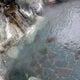 大白川温泉 しらみずの湯の詳細情報