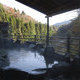 道志川温泉 紅椿の湯を見る
