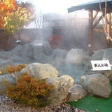 富士西湖温泉 いずみの湯の詳細情報