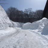 途中の雪道