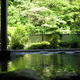 箱根七湯　底倉温泉 そこくらの湯つたやを見る