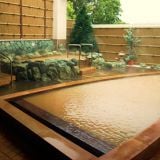 早稲田天然温泉 めぐみの湯の詳細情報